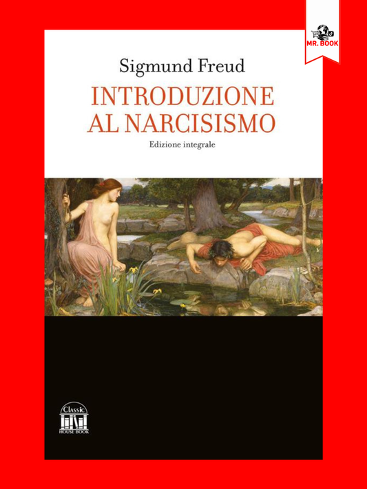 Introduzione al narcisismo